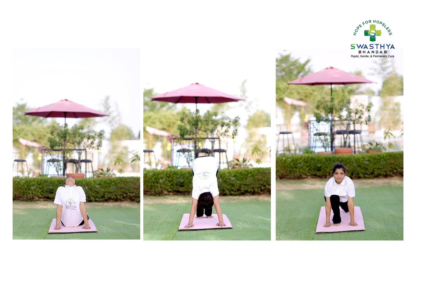Ashwa Sanchalanasana, Dandasana, Ashtanga Namaskara